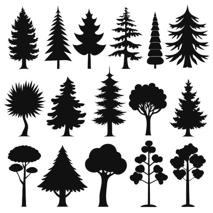 Vettore silhouette dettagliate di vari alberi su sfondo bianco
