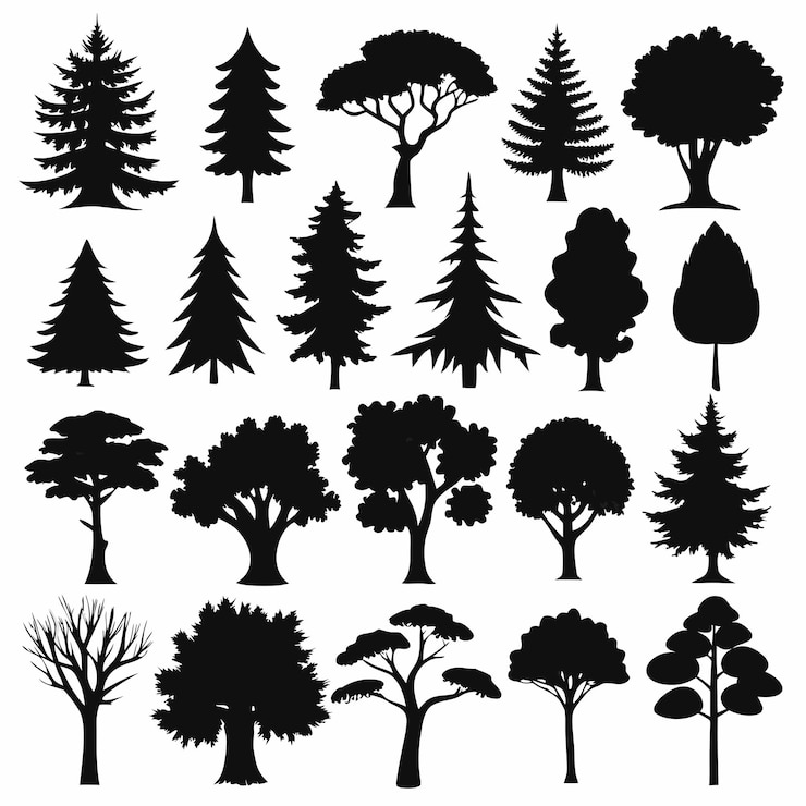 Vettore silhouette dettagliate di vari alberi su sfondo bianco