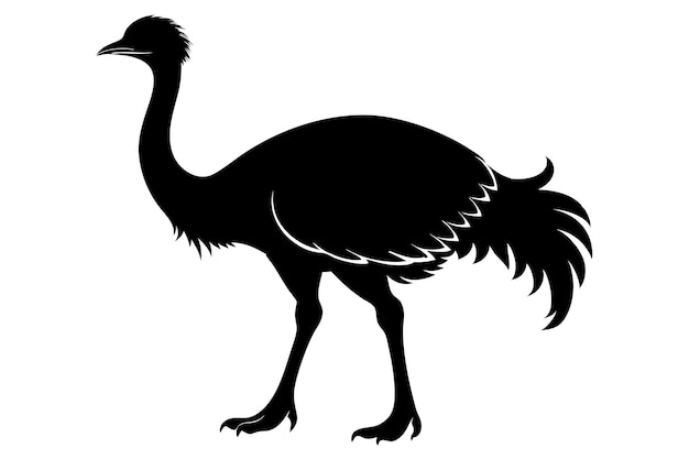 Silhouette di animale Rhea isolato illustrazione vettoriale piatta in bianco e nero