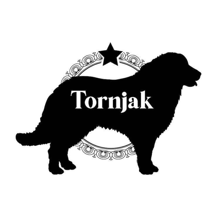 Vettore silhouette di cane cane razze di cane logo vettore silhouette logo design animale tornjak
