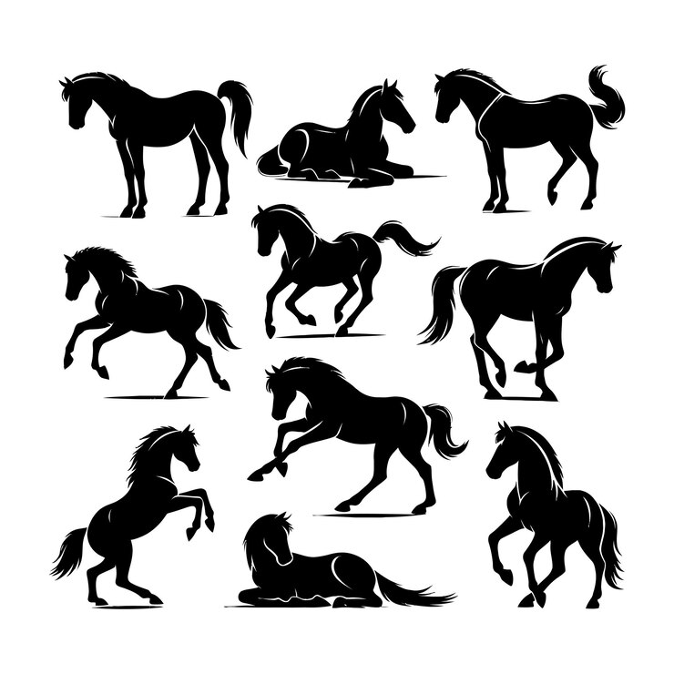 Vettore silhouette di cavallo illustrazione vettoriale di un bel set di cavalli silhouette