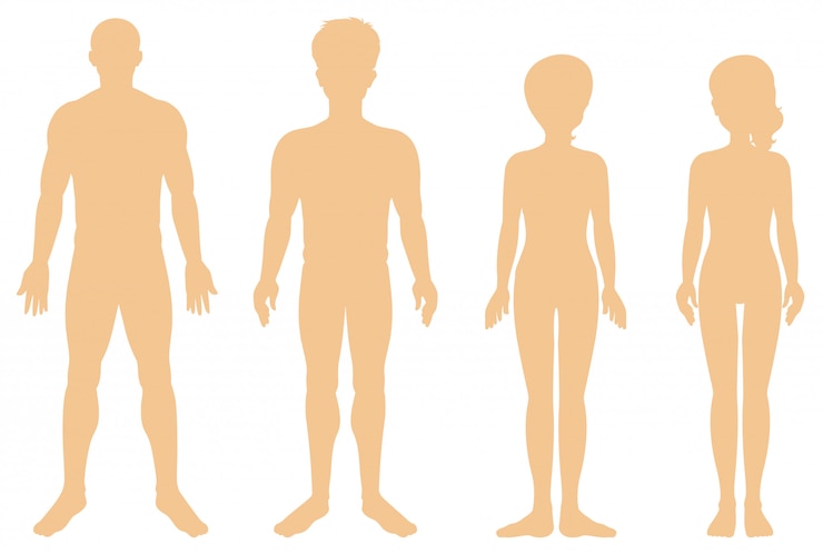 Vettore silhouette di diversi umani