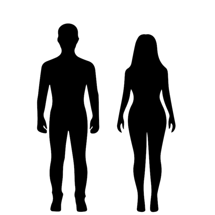 Vettore silhouette di figure maschili e femminili il corpo umano illustrazione vettoriale