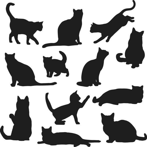 Silhouette di gatti in posizioni diverse
