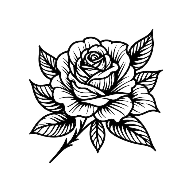 Silhouette di linea rosa su sfondo bianco