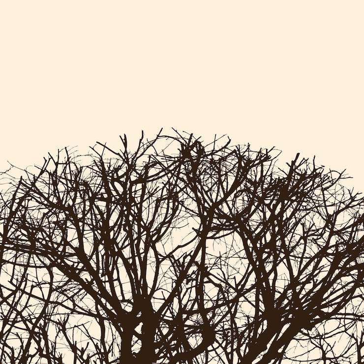 Vettore silhouette di rami di albero spogli