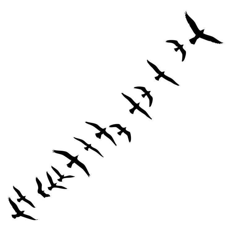 Vettore silhouette di uccelli in volo che mostrano libertà e movimento