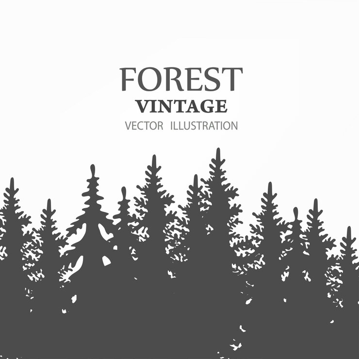 Vettore silhouette disegnata a mano di una foresta di conifere su sfondo bianco
