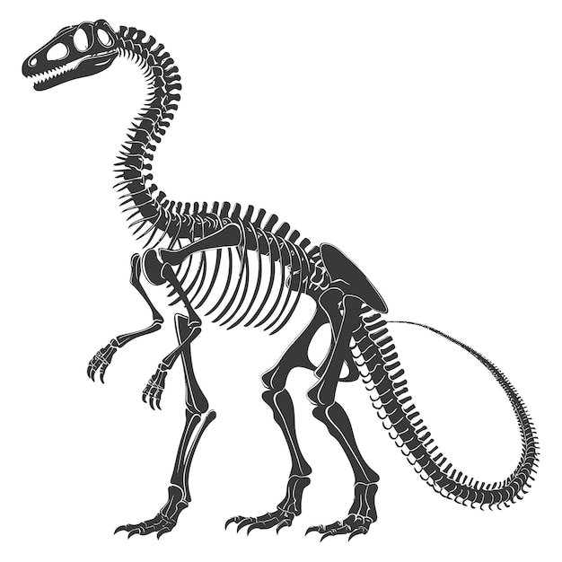 Silhouette Scheletro di dinosauro solo colore nero