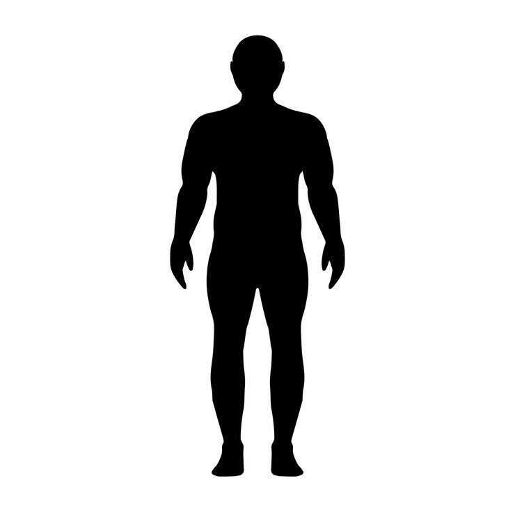 Vettore silhouette sportivo costruito uomo robusto contorni muscoli di sollievo atleta