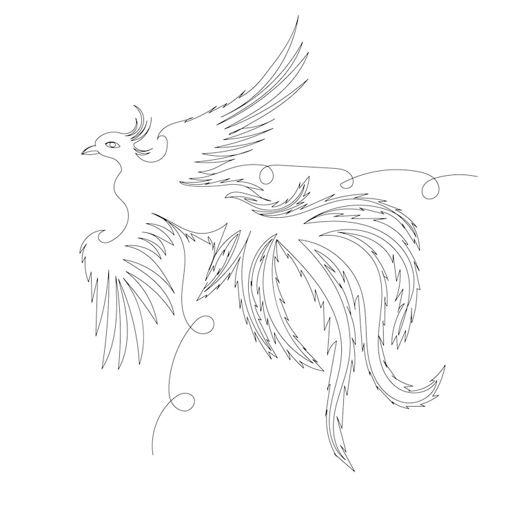 Vettore silhouette uccello fenice, su sfondo bianco, vettore, isolato