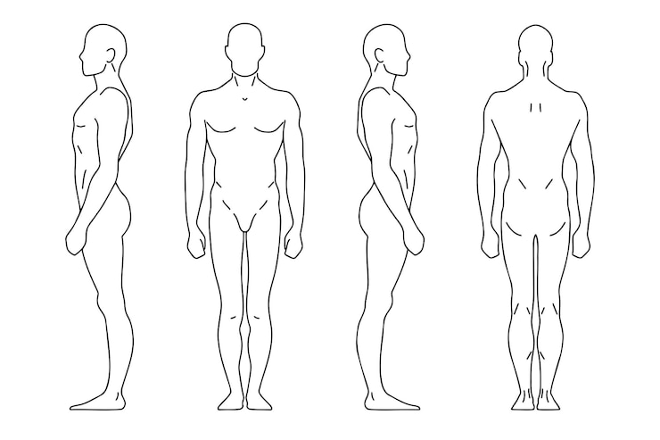 silhouette umana uomo contorno modello linea vettoriale figura di una persona nella parte anteriore lato posteriore