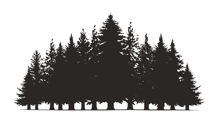 Vettore siluetta dell'insegna di natale della foresta di pini disegnata a mano di diversi alberi di pino canadesi