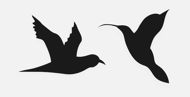 Siluetta dell'uccello Uccello su sfondo bianco illustrazione vettoriale