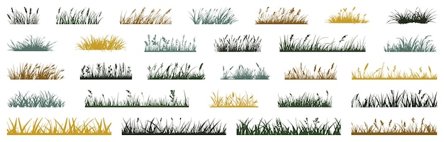 Siluetta di erba con collezione di spikelet Set di erba da spiaggia disegnata a mano Illustrazione per elevazione elemento architettonico vista laterale sezione di erba rivestimento di erba banner per i bordi