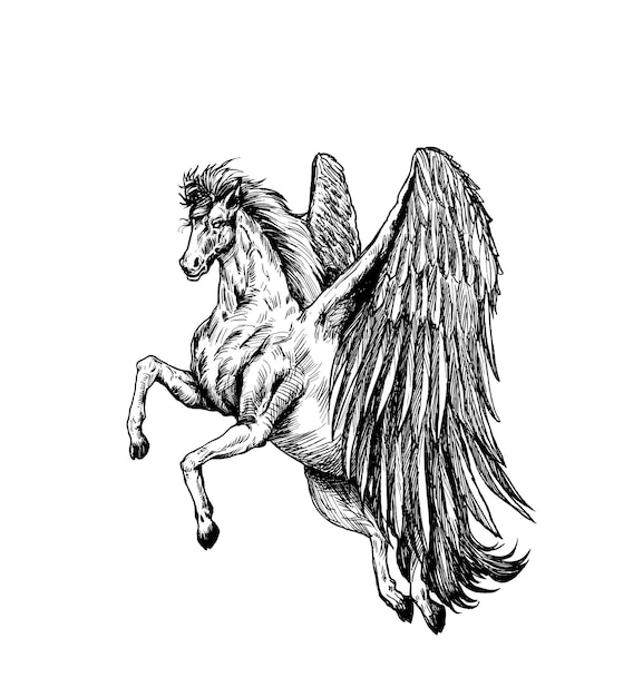 Siluetta di un unicorno nell'ornamento, illustrazione di vettore di schizzo di tiraggio della mano.