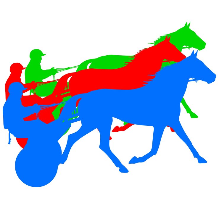 Vettore siluetta di vettore del cavallo e del fantino