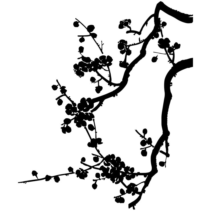 Siluetta di vettore del ramo dell'albero da frutto sbocciante delle albicocche selvatiche di prugna mei e sakura