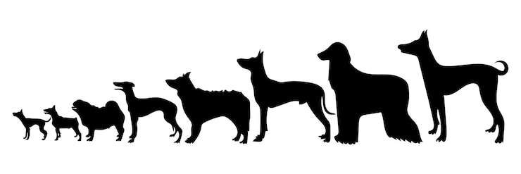 Vettore siluetta di vettore di un cane su priorità bassa bianca