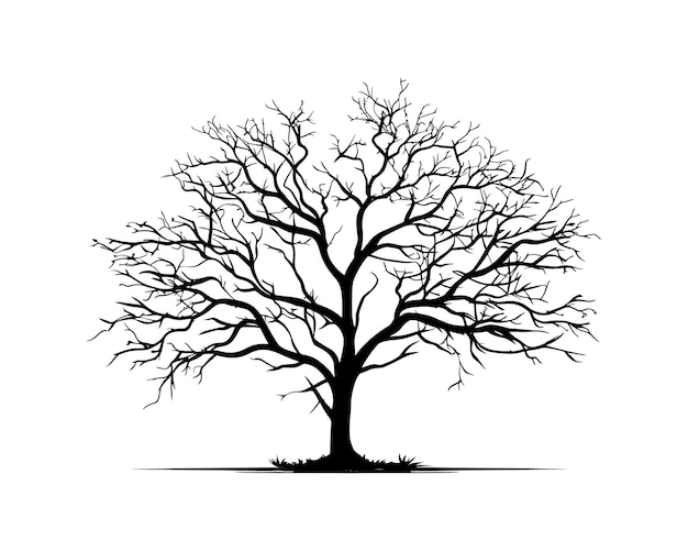 Siluette dell'albero in nero su sfondo bianco