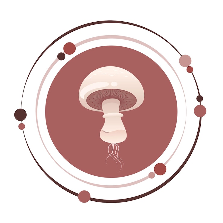 Vettore simbolo dell'icona grafica dell'illustrazione vettoriale dei funghi dei funghi