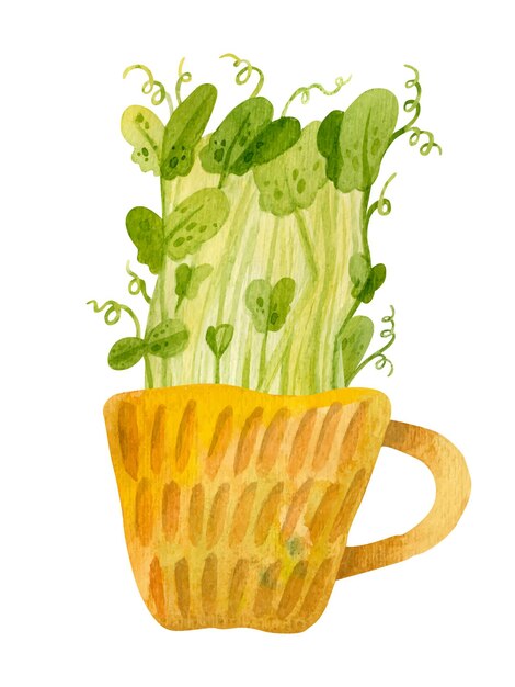 Simpatica tazza in ceramica con piantine di piselli verdi. Microgreens freschi, insalata di crescione. Stagione primaverile dei giardini. Clipart dell'acquerello disegnato a mano.