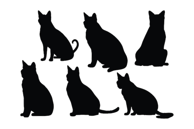 Simpatici gatti siamesi silhouette bundle design Gatti domestici seduti in diverse posizioni Collezione di silhouette per tutto il corpo del gatto Simpatici gatti e sagome feline sedute su uno sfondo bianco