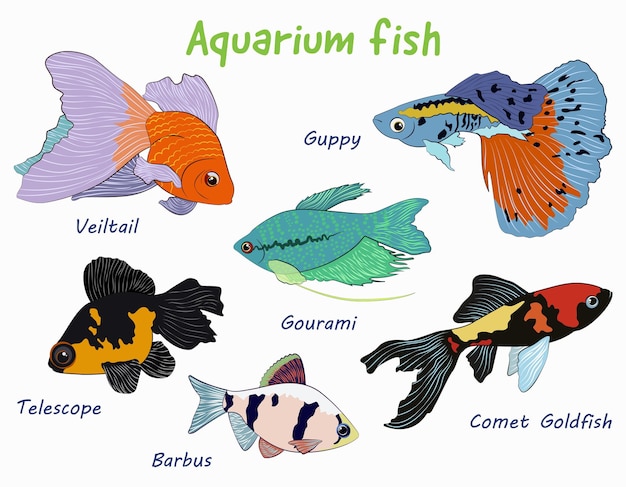 Simpatico cartone animato collezione di pesci d'acquario luminosi. Pesce dei cartoni animati.