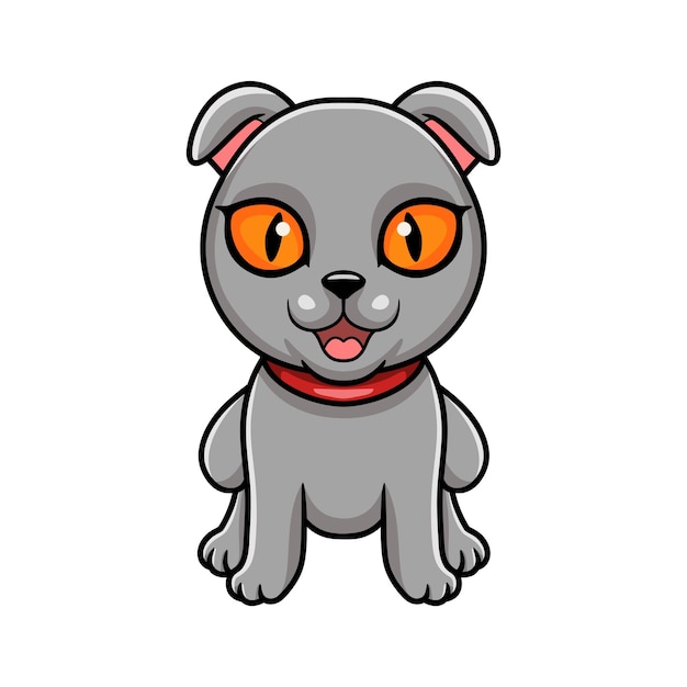 Simpatico gatto Scottish Fold Cartoon