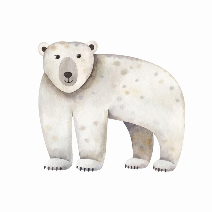 Vettore simpatico orso polare illustrazione dell'acquerello isolato su bianco cartoon stilizzato animale characrer