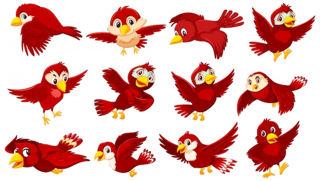 Simpatico personaggio dei cartoni animati di uccello rosso