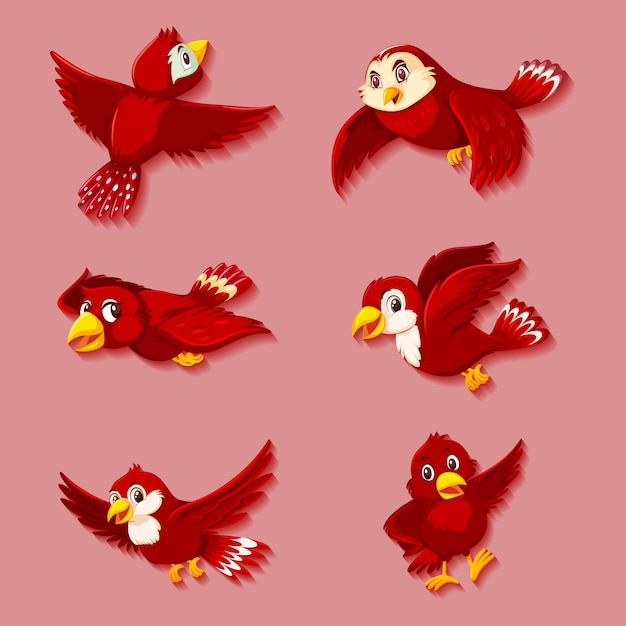 Simpatico personaggio dei cartoni animati di uccello rosso