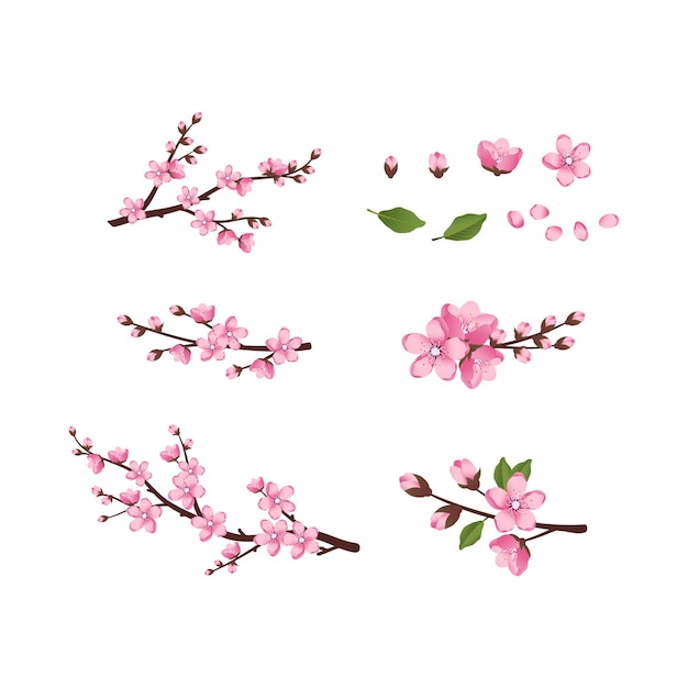 Simpatico set di icone di fiori di sakura i rami di ciliegio sono sbocciati composizione di fiori rosa primaverili con ...