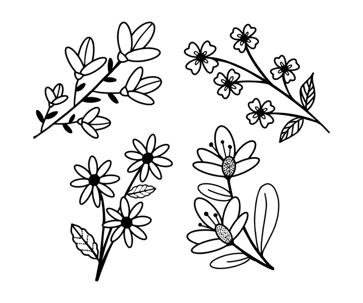 Simple Floral Line Art Set (Set di linee floreali semplici)
