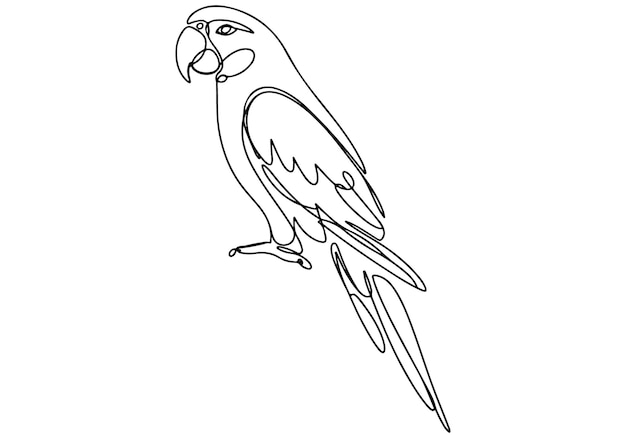 Single Line Drawing of a Parrot