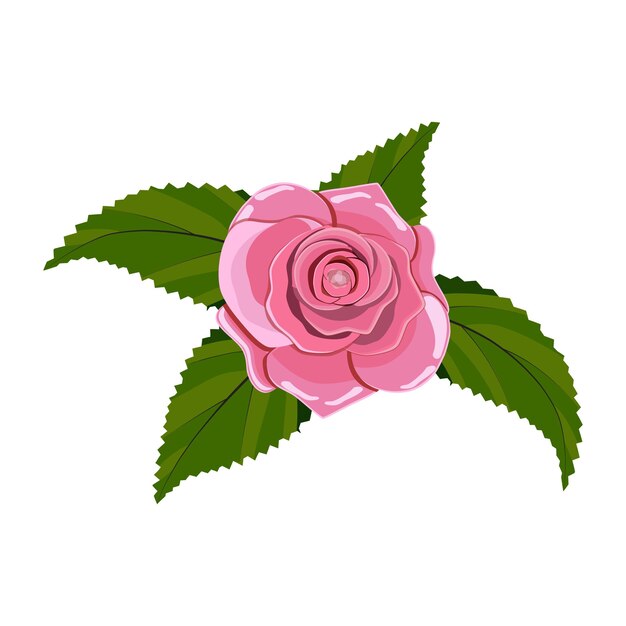 singolo fiore rosa rossa isolato. Illustrazione vettoriale