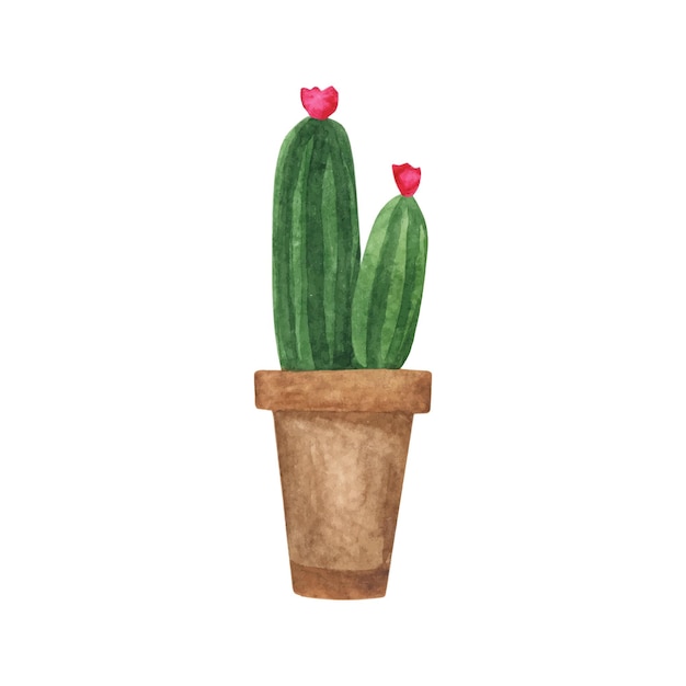 Singolo vaso di cactus dell'acquerello disegnato a mano carino