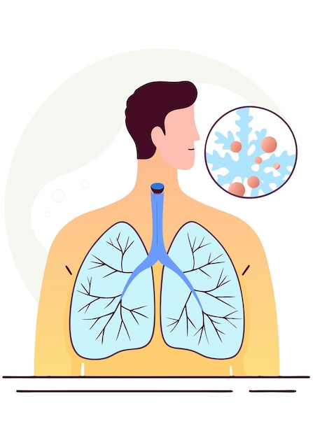 Sistema respiratorio umano struttura polmonare bronchioli e alveoli polmonari con rete capillare illustrazione artistica su sfondo bianco