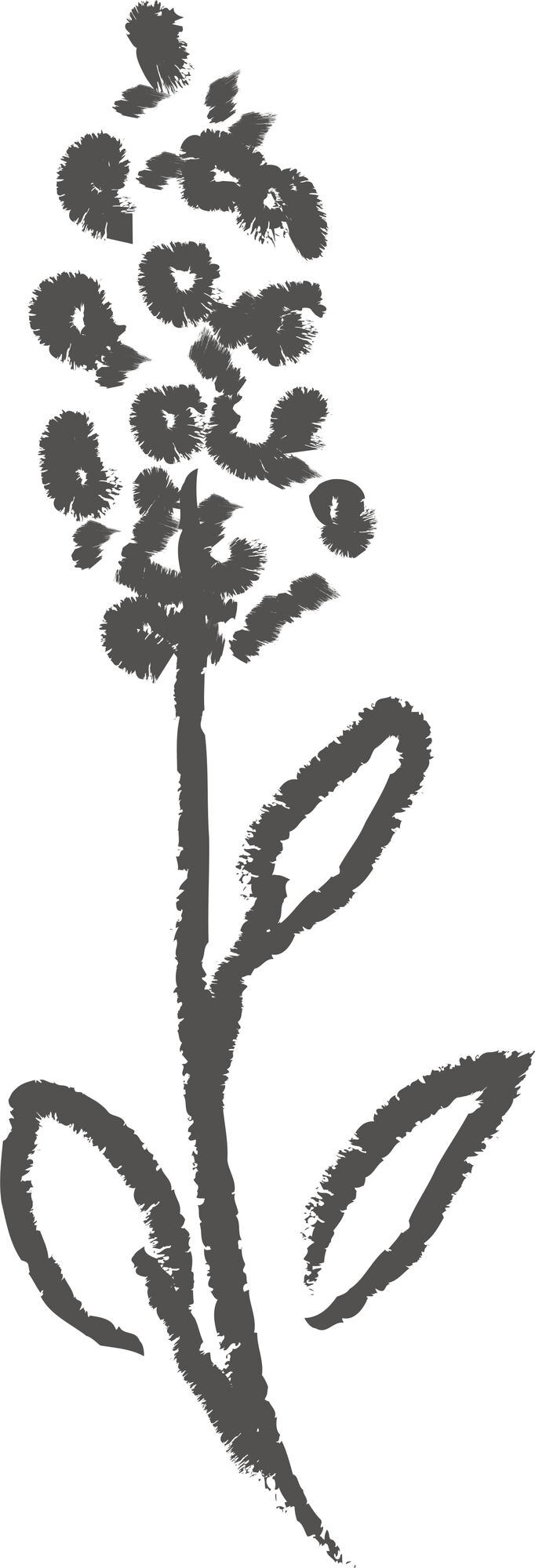 Vettore sketch disegnato a mano con fiori