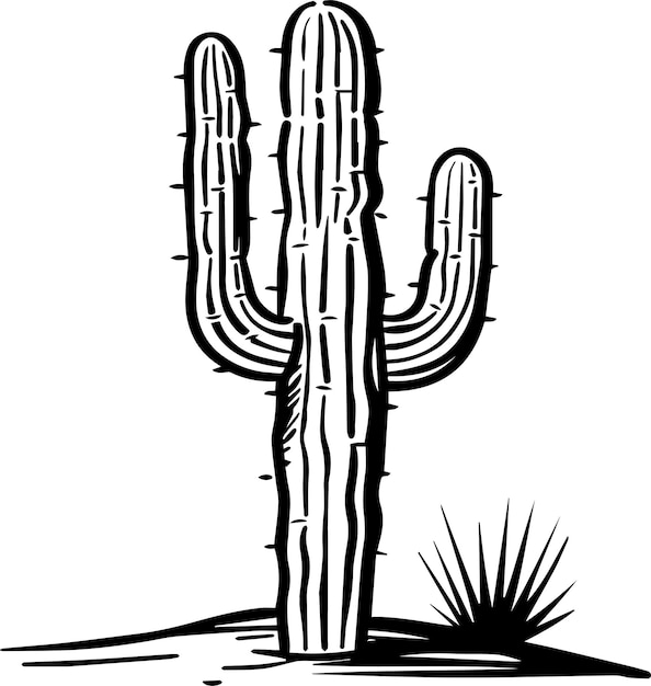 Sketch monocromatico del cactus Saguaro