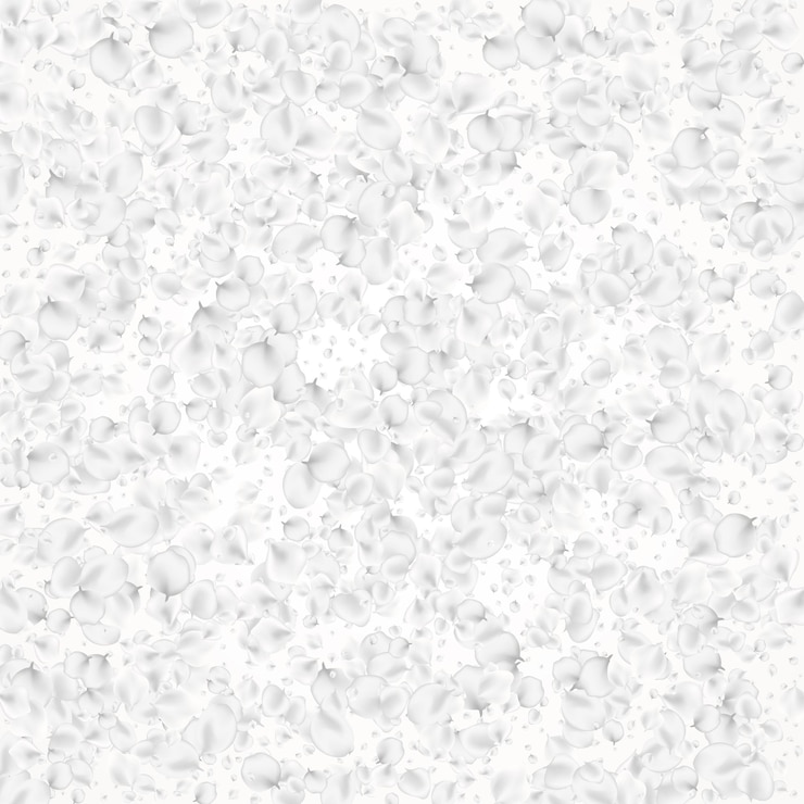 Vettore snowy rose vector luce sullo sfondo delicato
