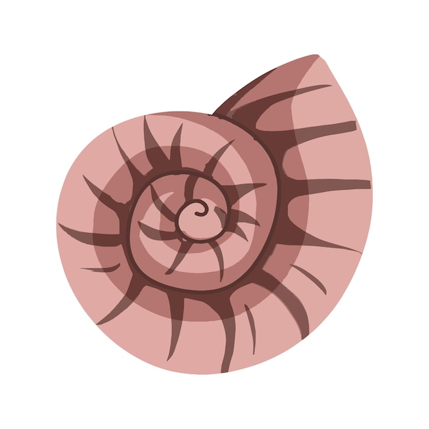Spirale di conchiglie rosa e marrone