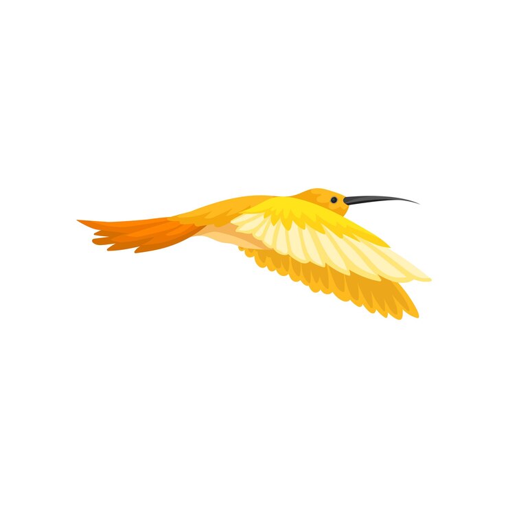 Vettore splendido colibrì tropicale con piume giallo arancio brillante colibri volanti piccolo uccello con becco lungo e sottile disegno vettoriale piatto