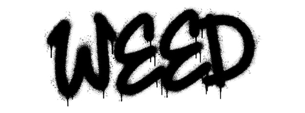 Spray Painted Graffiti Weed Word spruzzato isolato con uno sfondo bianco font graffiti Weed con over spray in nero su bianco Illustrazione vettoriale