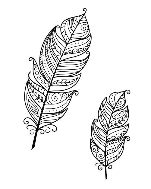 Stile Boho Illustrazione di piume in bianco e nero Libro a colori