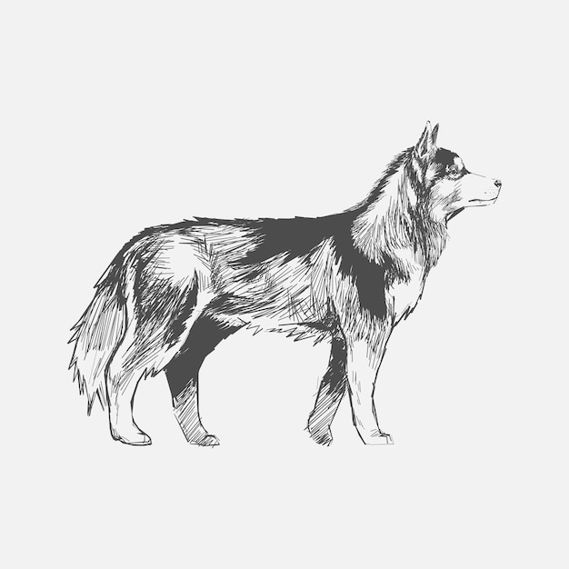 Stile di disegno dell&#39;illustrazione del cane