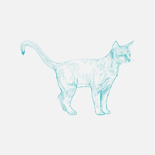 Stile di disegno dell&#39;illustrazione del gatto