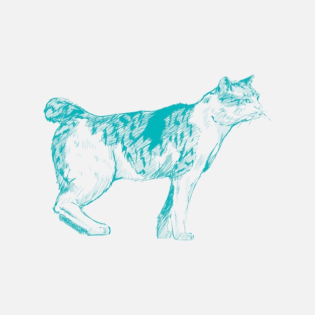 Stile di disegno dell&#39;illustrazione del gatto