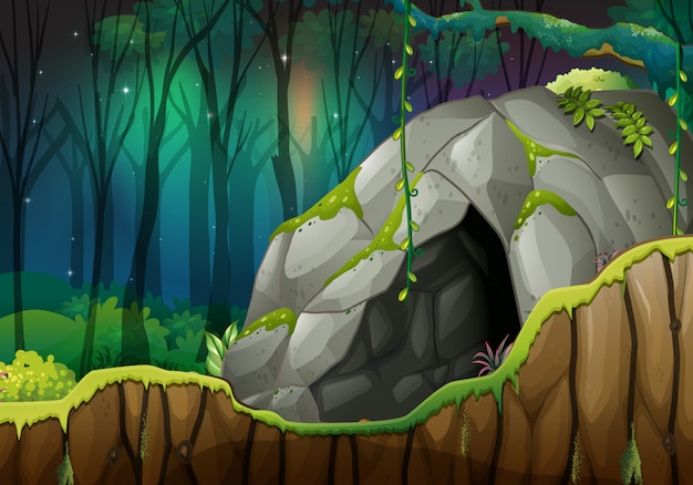 Stone Cave in the Dark Forest