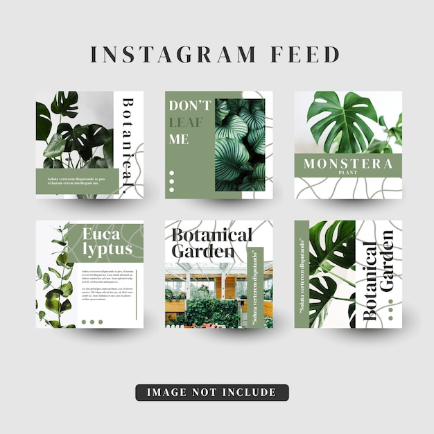 storie di instagram feed template post